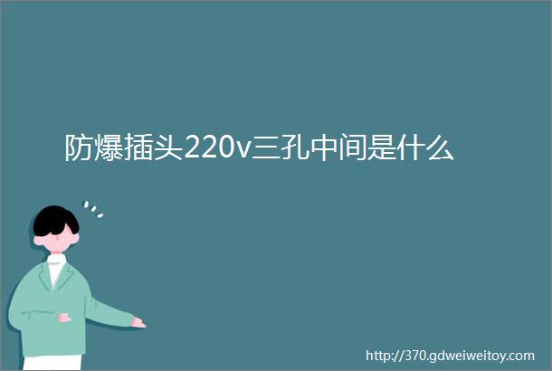 防爆插头220v三孔中间是什么